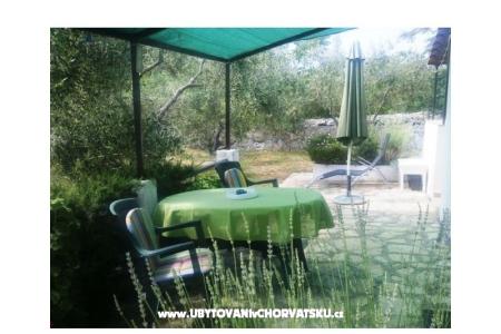 Appartementen Oliva - Otok Šolta foto 3