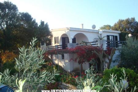 Villa Bepina eiland Solta Kroatië