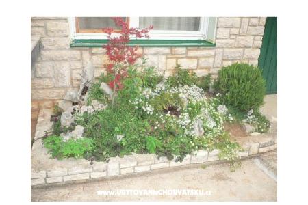 Vakantiehuis Goga foto 4