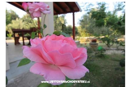 Vakantiehuis Dević foto 2