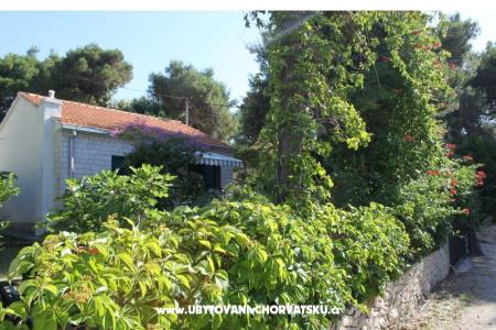 Villa Dragan foto 3