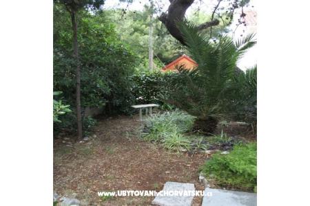 Villa Dragan foto 5