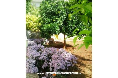 Appartementen Zubak foto 3