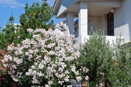 Appartementen Ruža foto 2