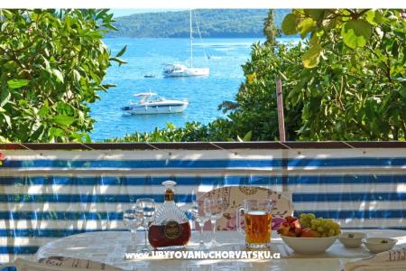 Lozovina Trogir Kroatië