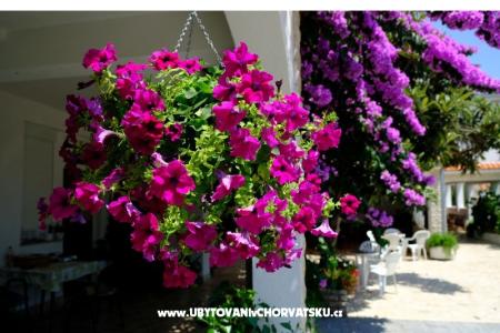 Pensioen Jeric foto 3