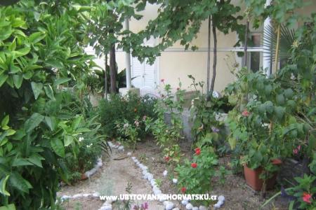 Vakantiehuis Villa Marija foto 4