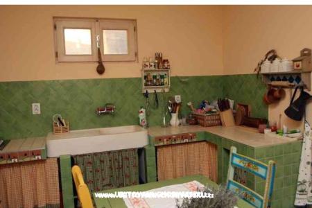 Vakantiehuis Buselic foto 4