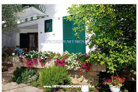 Trostel Tučepi foto 4