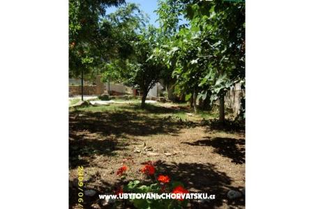 Vakantiehuis Villa Jadran foto 5