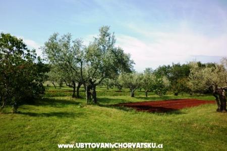 Appartementen Linda foto 3