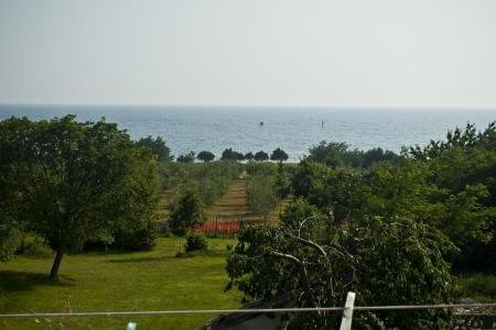 Appartementen Paradinovic foto 2