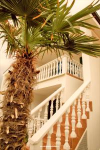 Appartement Bura foto 3