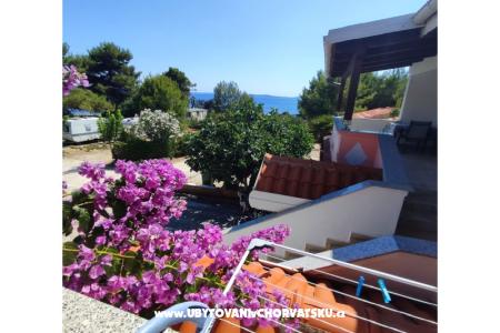 Appartementen Delfin eiland Vir Kroatië