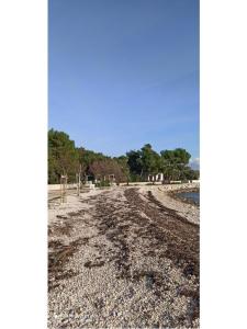 Appartementen Traum eiland Vir Kroatië