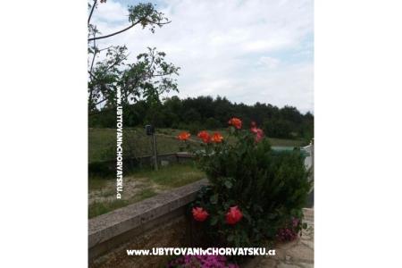 Appartementen Vlašić foto 5