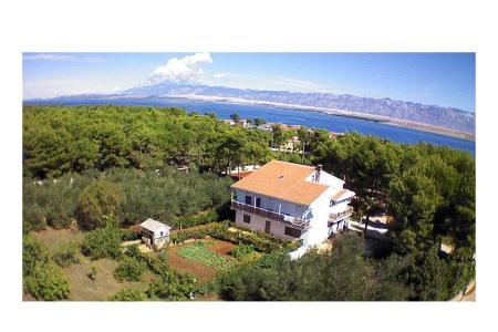 Appartementen Liveric eiland Vir Kroatië