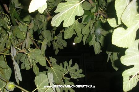 Appartementen  Smokva   foto 4