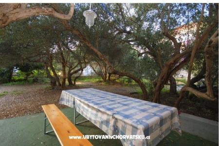 Appartementen Mira foto 4