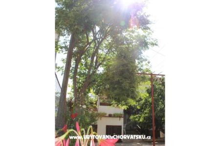 Appartementen Vitali foto 5