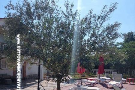 Appartementen Chipo foto 3