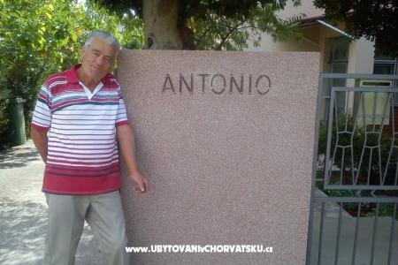 Appartementen and rooms Antonio foto 3
