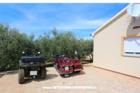 Snježana Zadar Kroatië