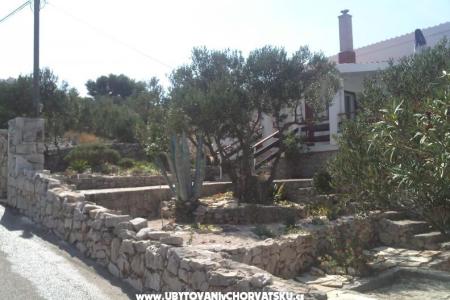 Villa Sonia Kaprije foto 4