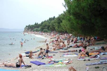 Appartementen Gojko Ajduk foto 3