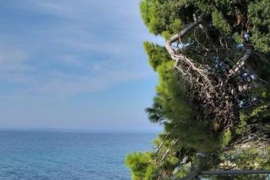 Appartementen Ena foto 3