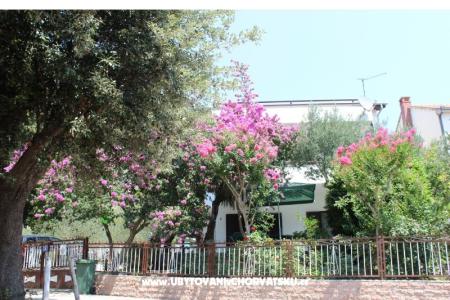 Appartementen Vila Filipovic foto 2