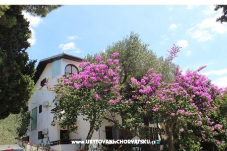 Appartementen Vila Filipovic foto 3