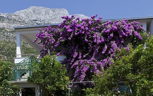 Huis  Marta – Accommodatie Baska Voda Kroatië