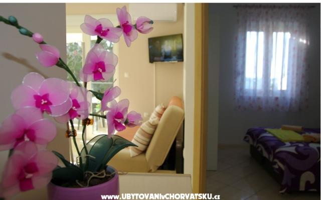 Appartementen Lovre – Accommodatie Bibinje Kroatië