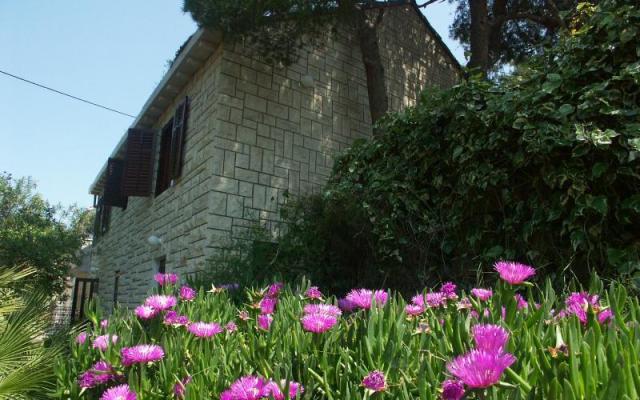Villa Santa Lucia – Accommodatie eiland Brac Kroatië