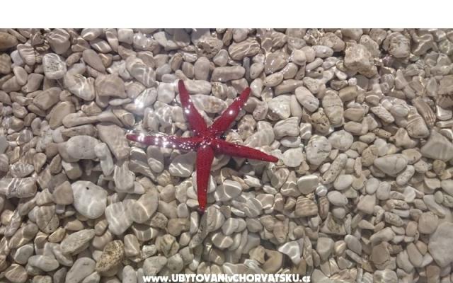 Vacation house Delić – Accommodatie Dugi Rat Kroatië