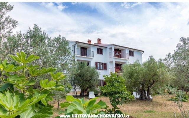 Appartementen Amalia Fažana – Accommodatie Fazana Kroatië