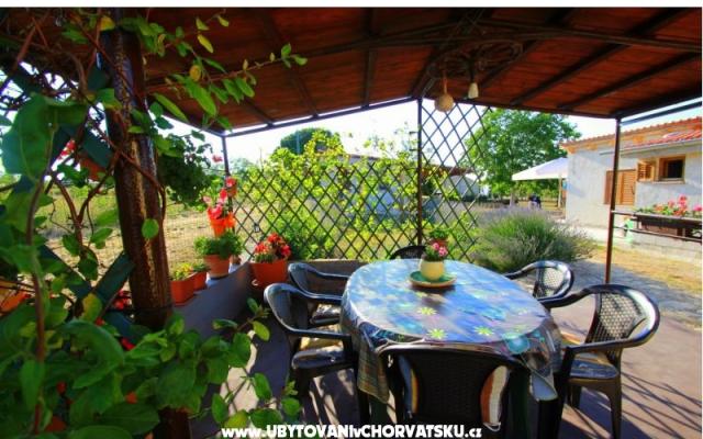 Appartement Sandra  – Accommodatie Fazana Kroatië