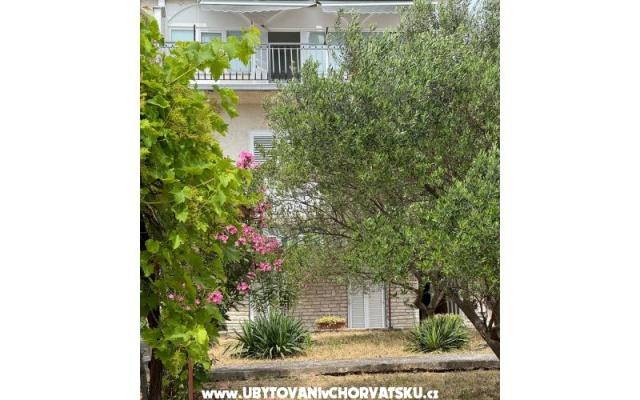 Appartementen Maslina – Accommodatie Sv. Filip i Jakov Kroatië