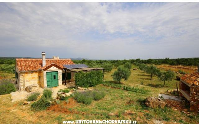 Olive Garden Paljka – Accommodatie Sv. Filip i Jakov Kroatië