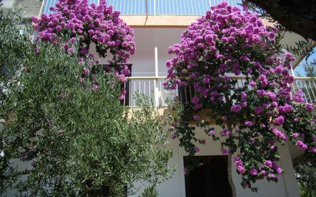 Appartement Gradac Falak – Accommodatie Gradac – Podaca Kroatië