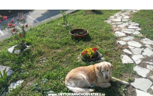 Mini Kamperen Podaca – Accommodatie Gradac – Podaca Kroatië