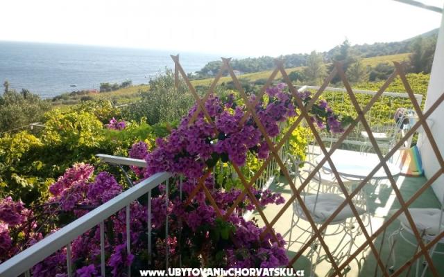 ART AND NATURE  – Accommodatie eiland Hvar Kroatië