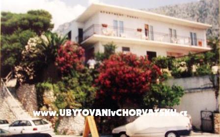 Vila Vinka – Accommodatie Igrane Kroatië