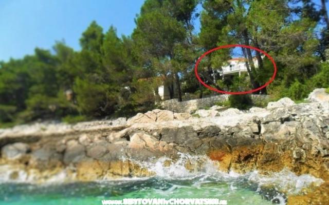 Appartementen Marica Pecotić  – Accommodatie Korcula Kroatië