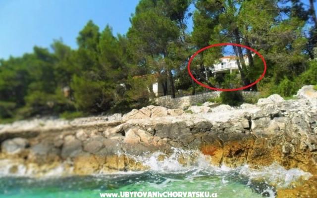 Appartementen Marica P. – Accommodatie Korcula Kroatië