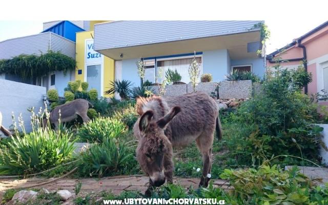 Villa Suzi – Accommodatie Kraljevica Kroatië