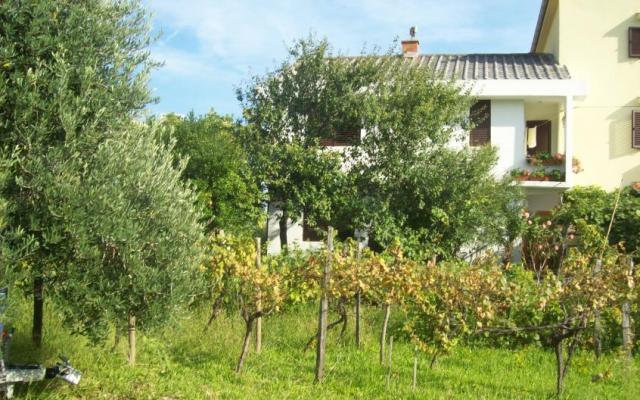 Appartementen Vasilić – Accommodatie eiland Krk Kroatië