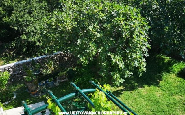 Appartementen Garden paradise – Accommodatie Makarska Kroatië
