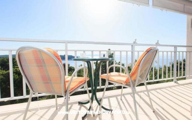 Appartementen Veronika – Accommodatie Makarska Kroatië